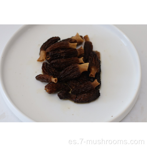 Morel de corte fresco congelado de mushroom-500 g